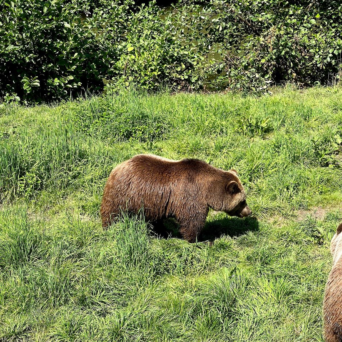 Restaurant "Kiosk Wildpark" in Poing