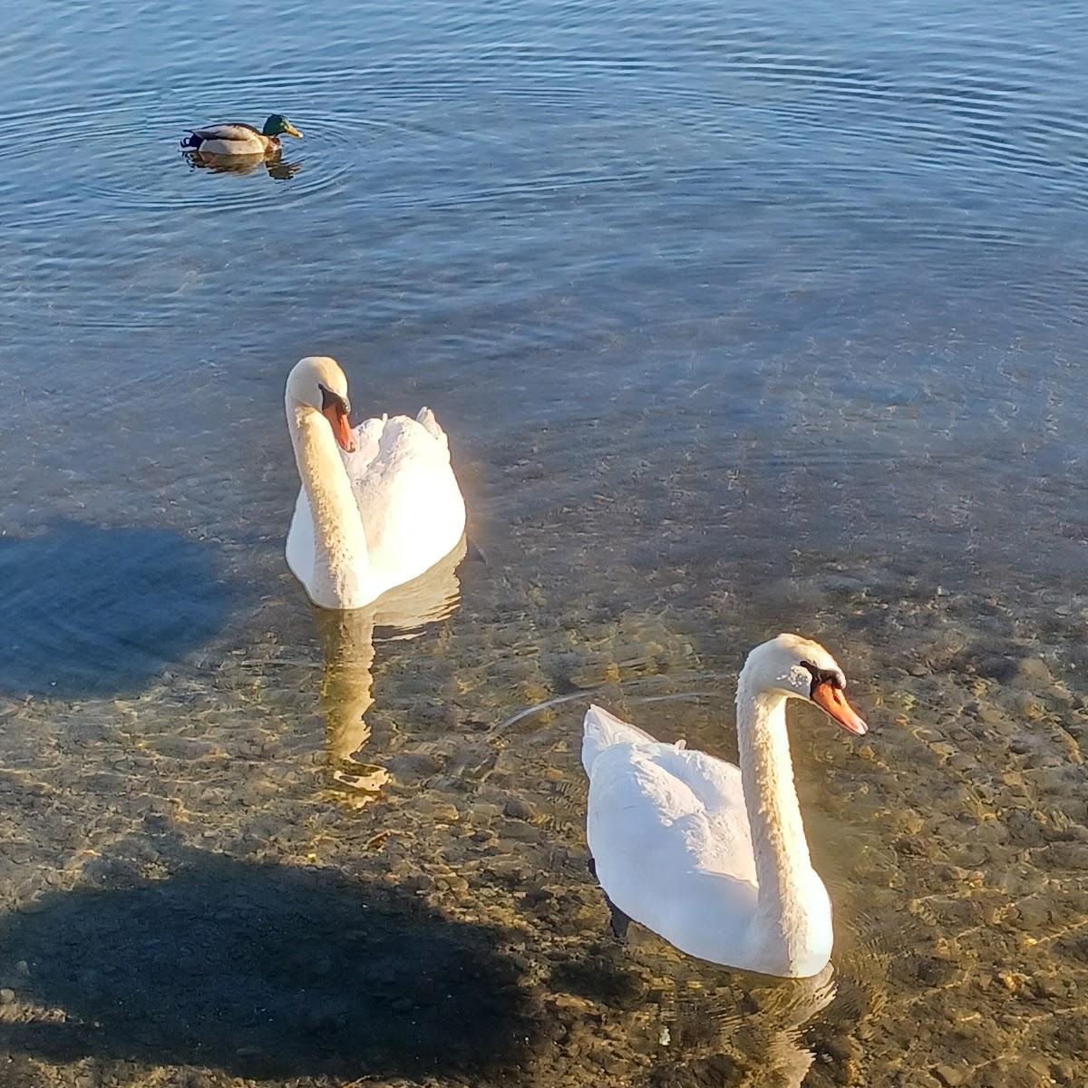 Restaurant "Chiemsee Blick" in Bernau am Chiemsee