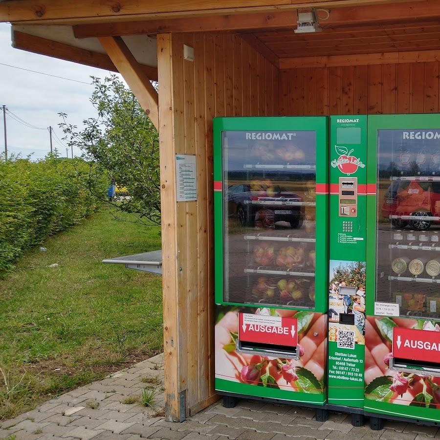 Restaurant "Trewwerer Äpplergarten" in Trebur