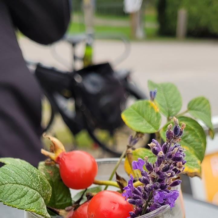 Restaurant "Rokahr’s Crêperie" in Dierhagen