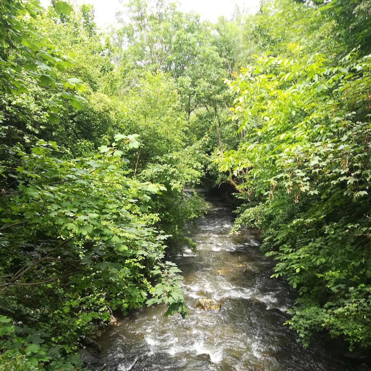 Restaurant "Körschtal-Forellenzucht Familie Stocker GmbH |" in Denkendorf