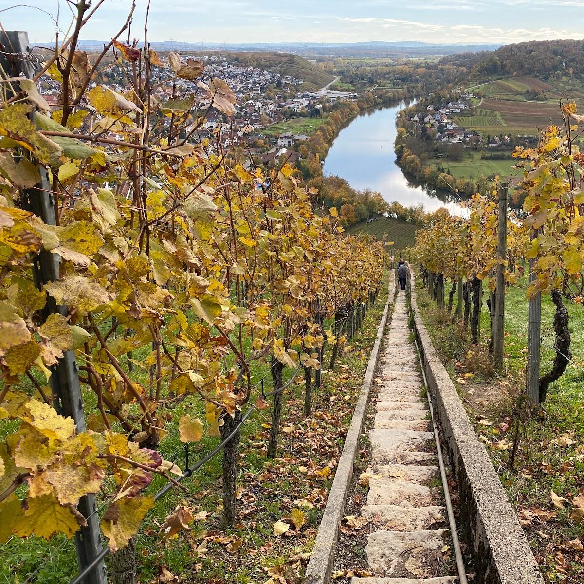 Restaurant "Königshäusle" in Mundelsheim