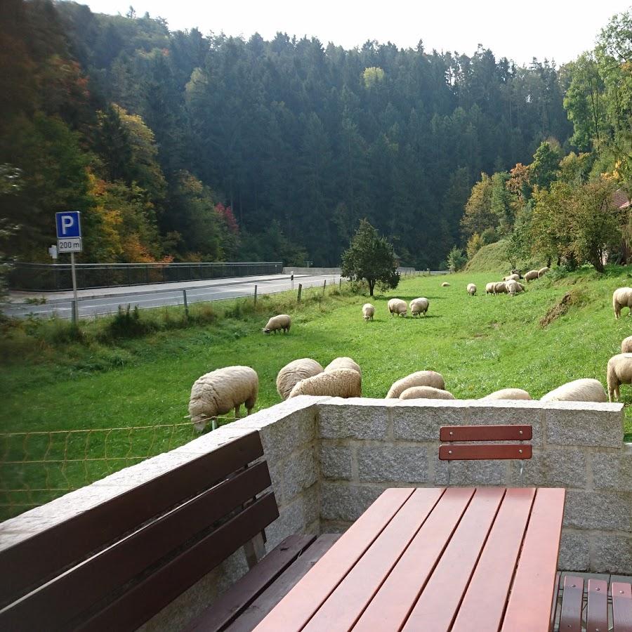 Restaurant "Gasthof Pension Neumühle" in Ahorntal
