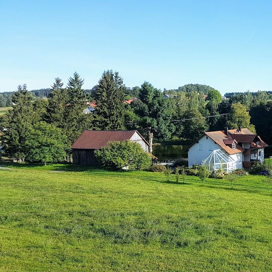 Restaurant "Hammerschänke" in Oberviechtach