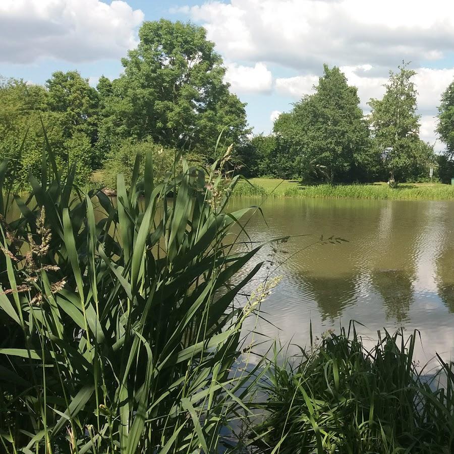Restaurant "Badesee Kiosk" in Niederstetten
