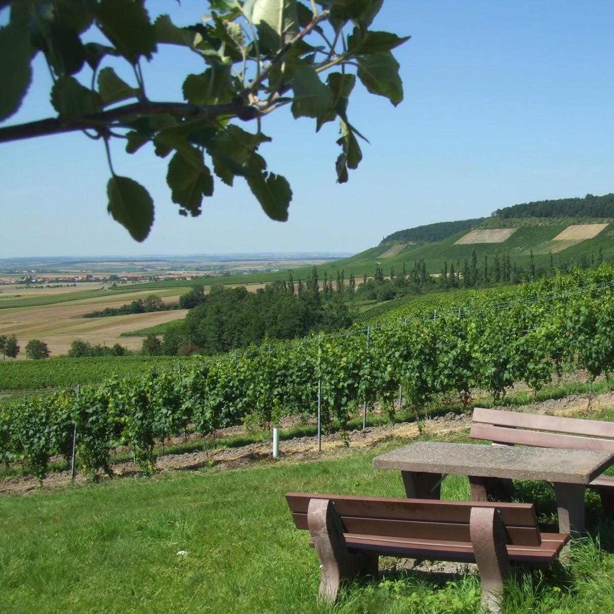 Restaurant "Weingut Karl Schmidt" in Ippesheim