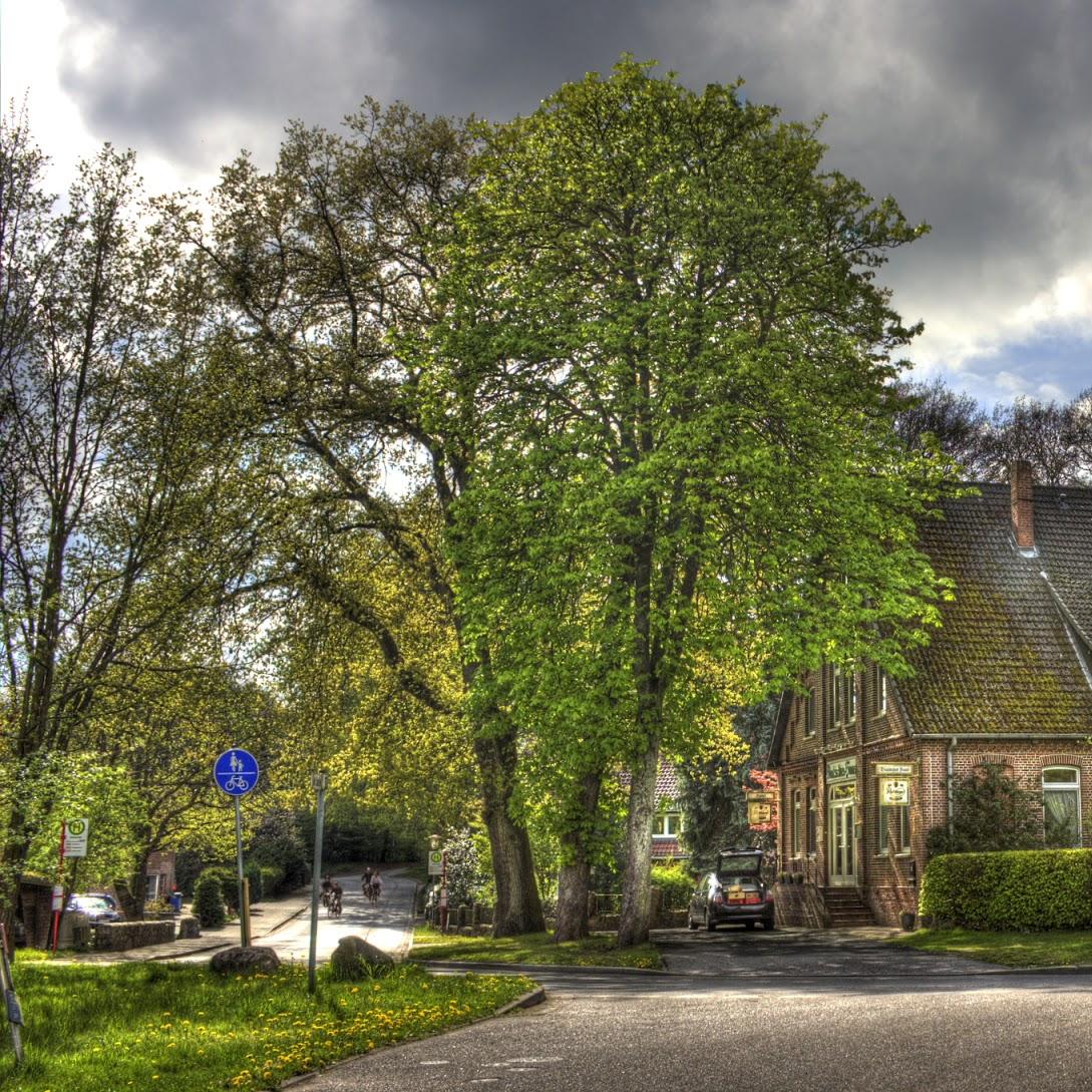 Restaurant "Deutsches Haus" in  Appel
