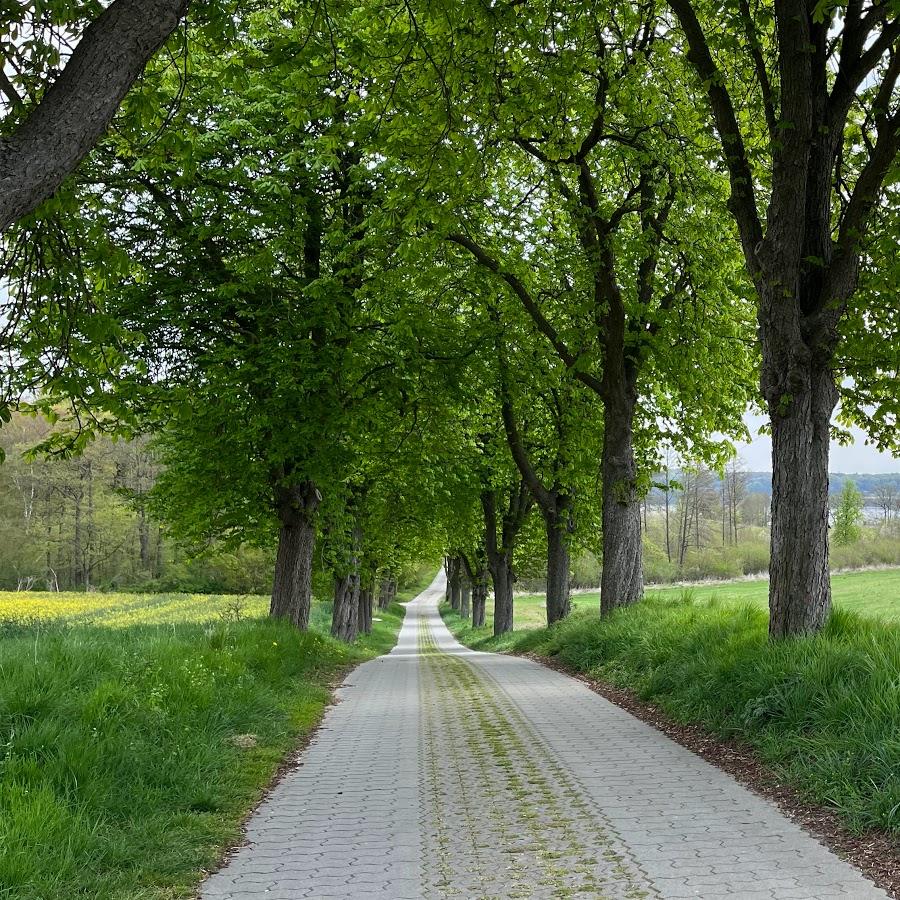 Restaurant "Alt Meiershof" in Amt Penzliner Land