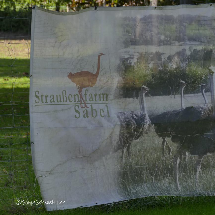 Restaurant "Straußenfarm Sabel" in Dornburg