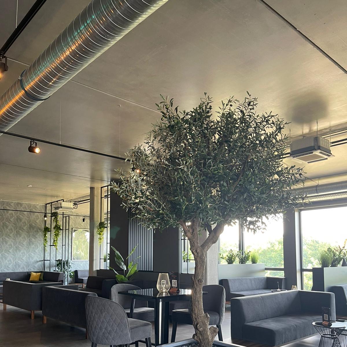 Restaurant "Medici Lounge" in Karlsdorf-Neuthard