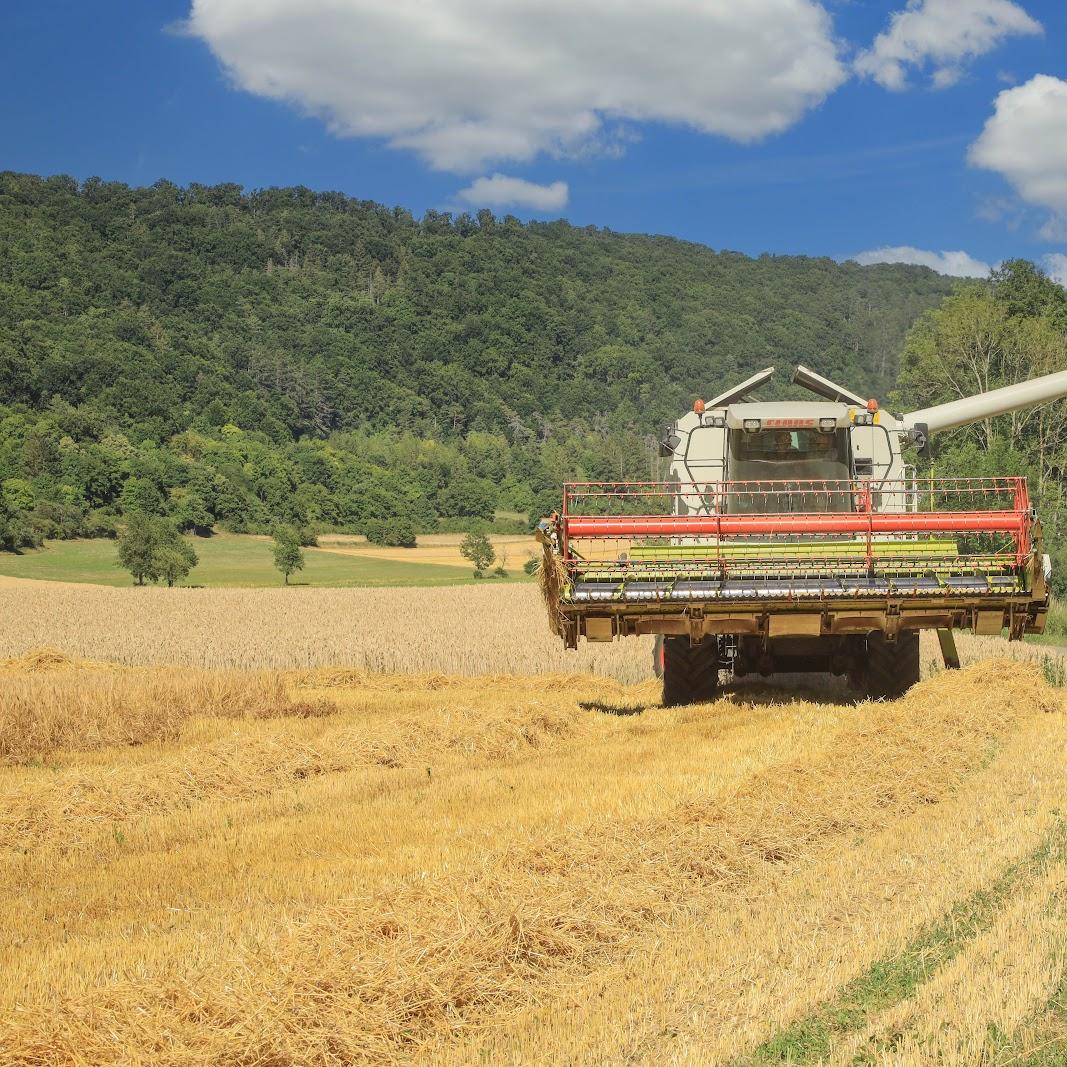 Restaurant "Schäferwagen Vino an der Altmühl" in Dollnstein