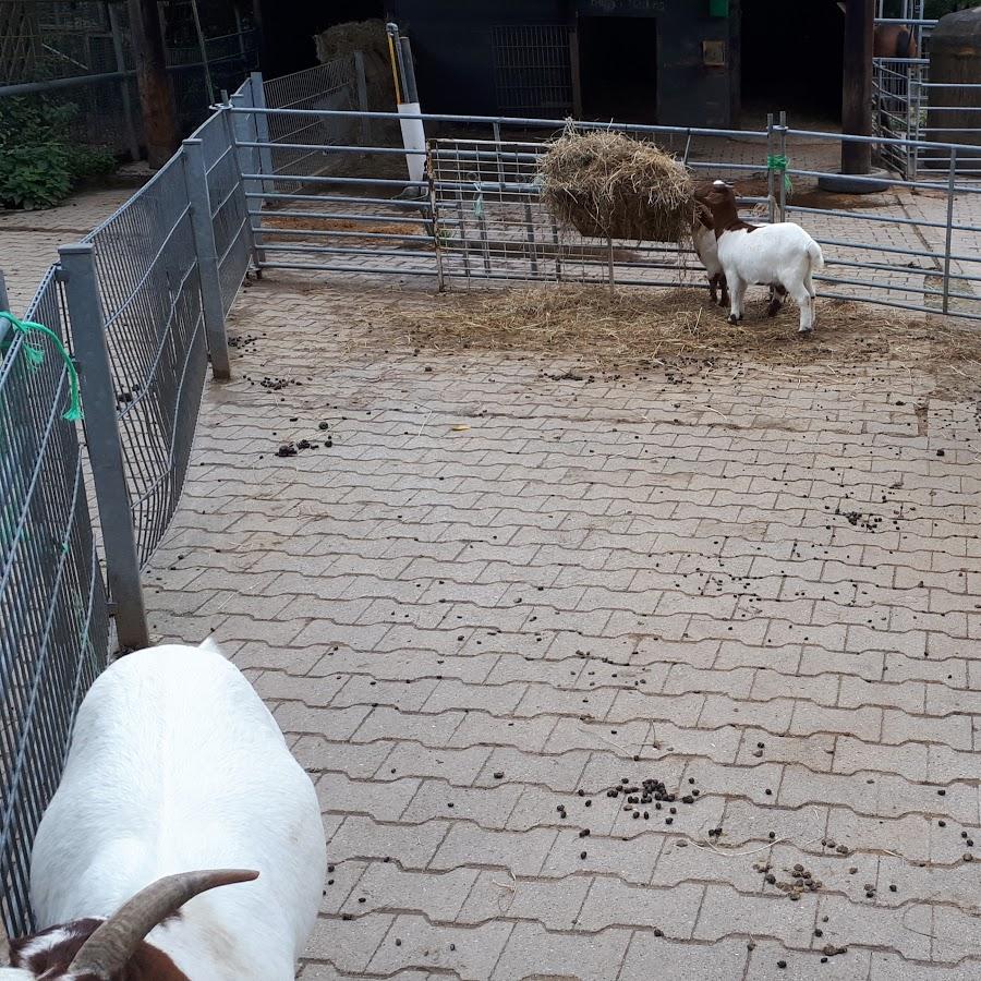 Restaurant "Krainbachhof" in Schwaigern