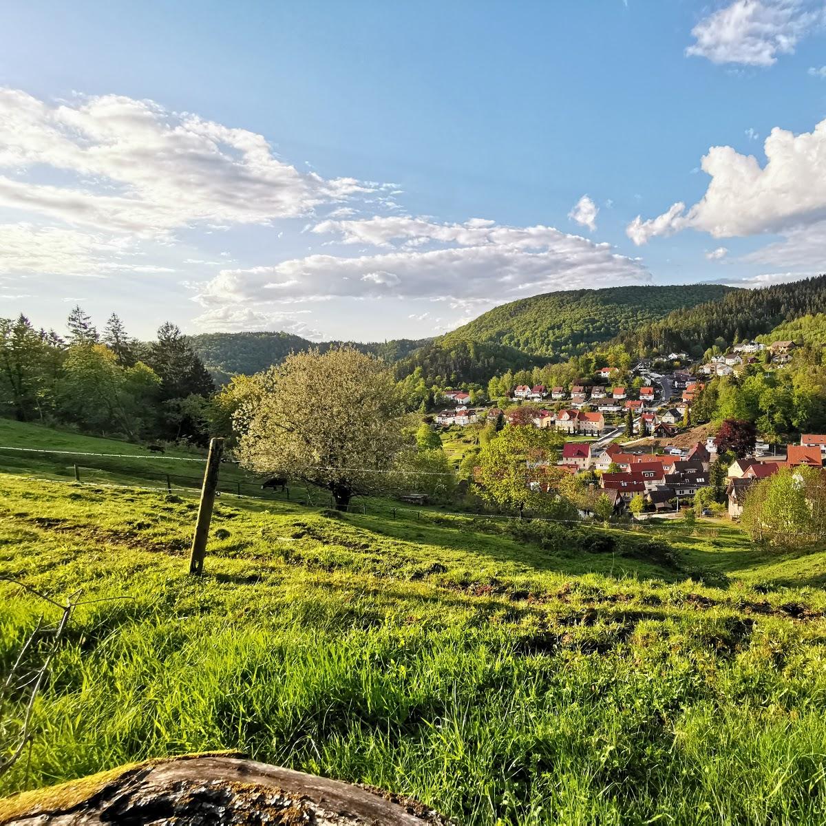 Restaurant "Hotel Pension Jägerstieg & Appartements" in Bad Grund (Harz)