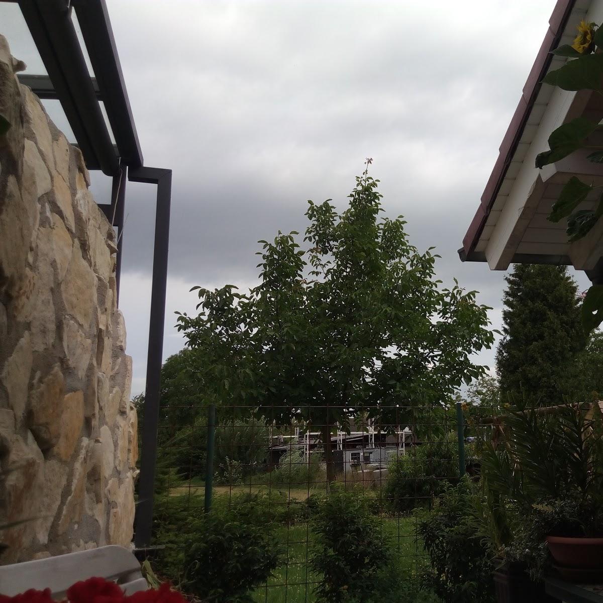 Restaurant "Club des Gourmands" in Renchen