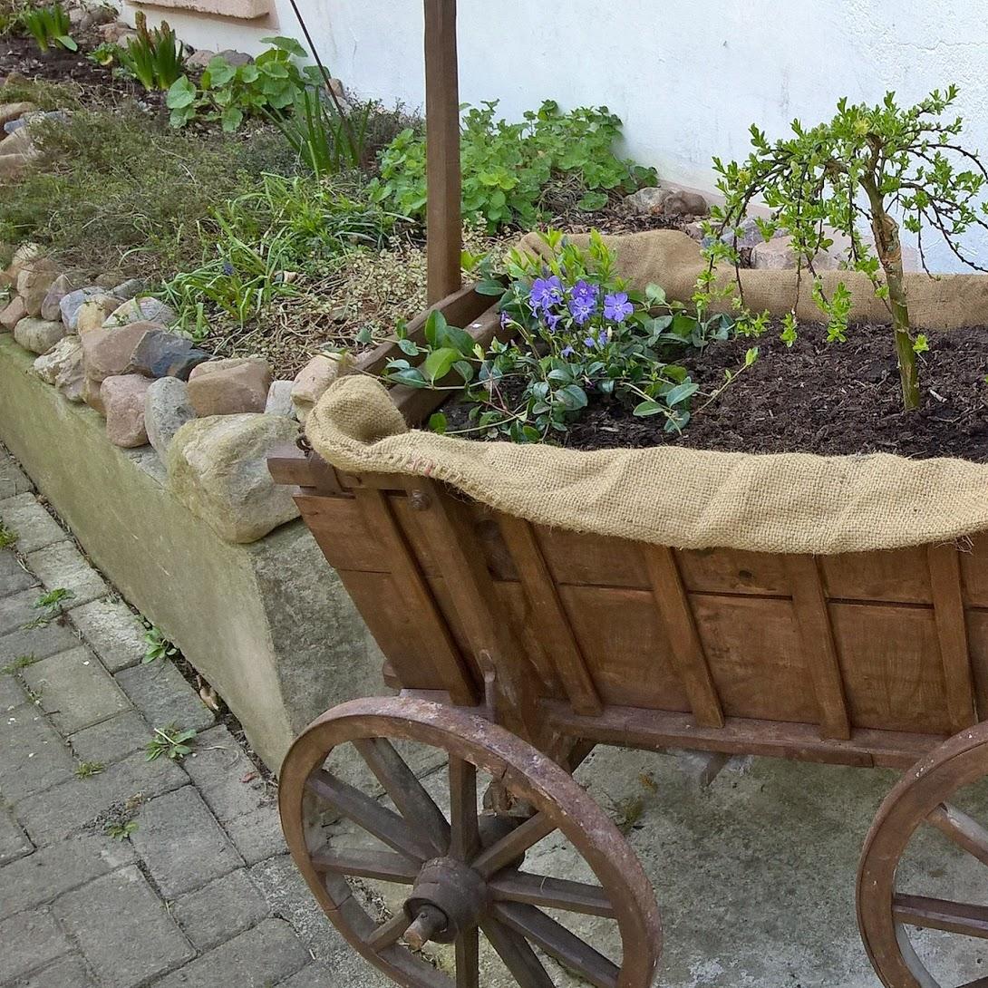 Restaurant "Willecke