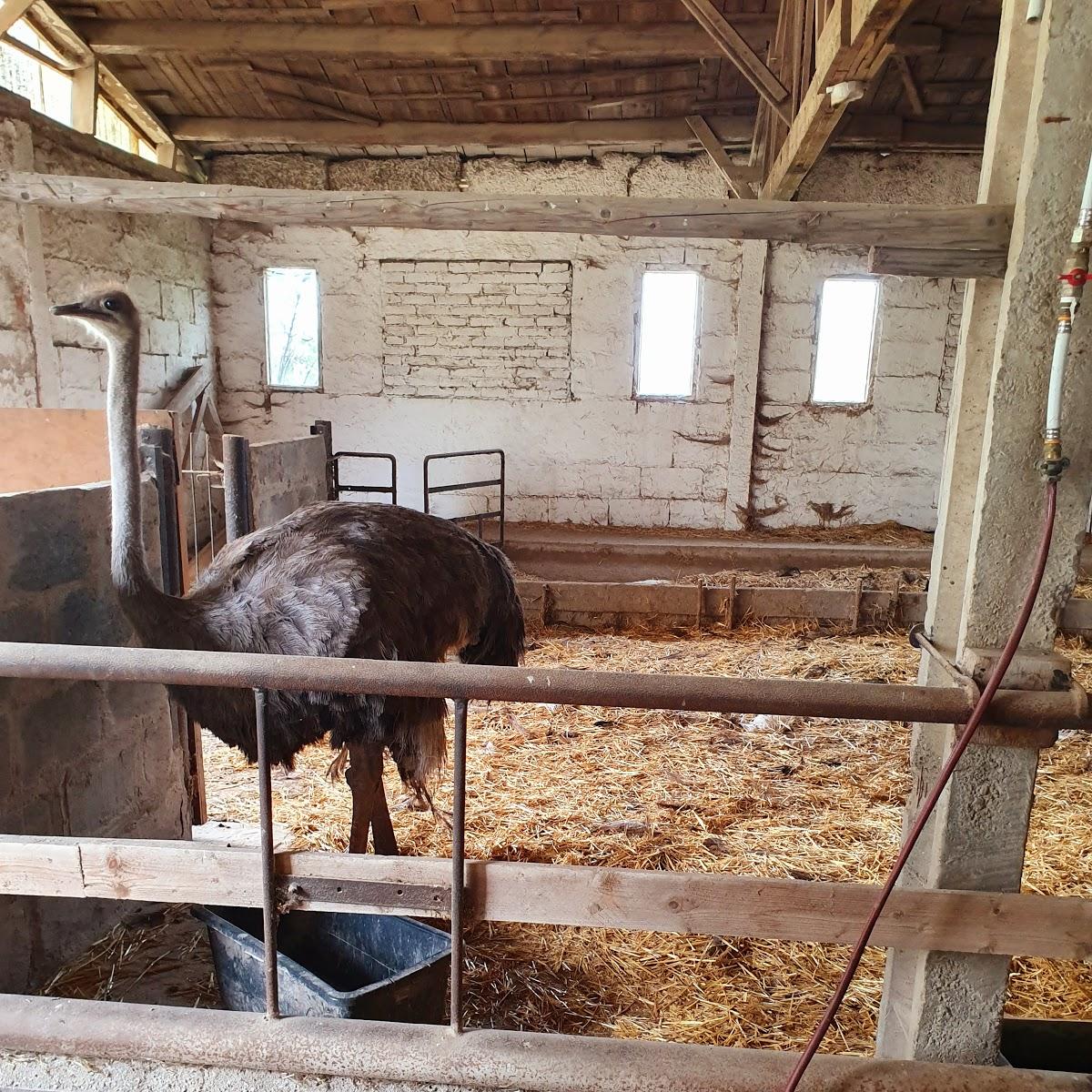 Restaurant "Straußenfarm am Bruch" in  Huy