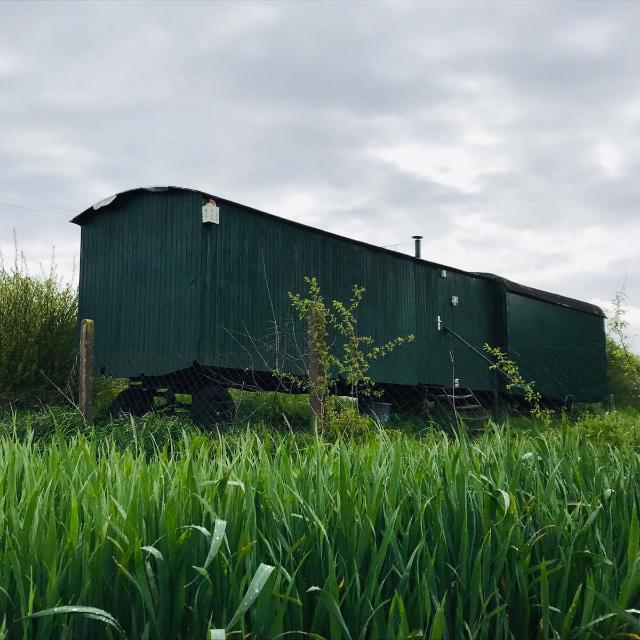 Restaurant "Bauwagen Hammerstetten" in Kammeltal