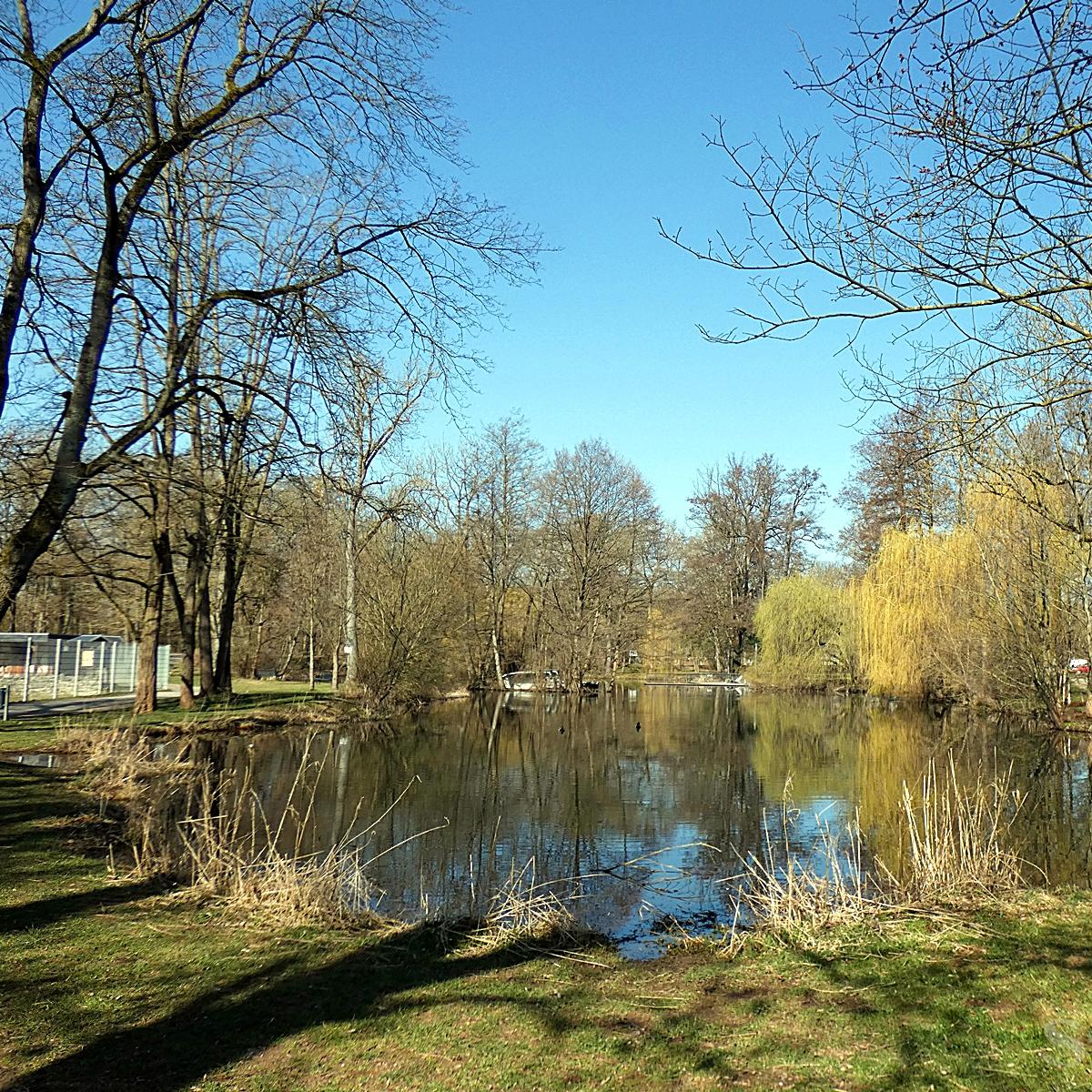 Restaurant "Bistro am Gondelteich" in Nordhausen