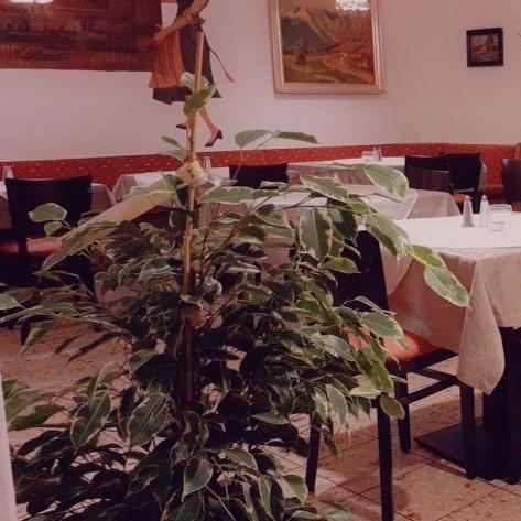 Restaurant "Gasthof Oberland" in  Holzkirchen