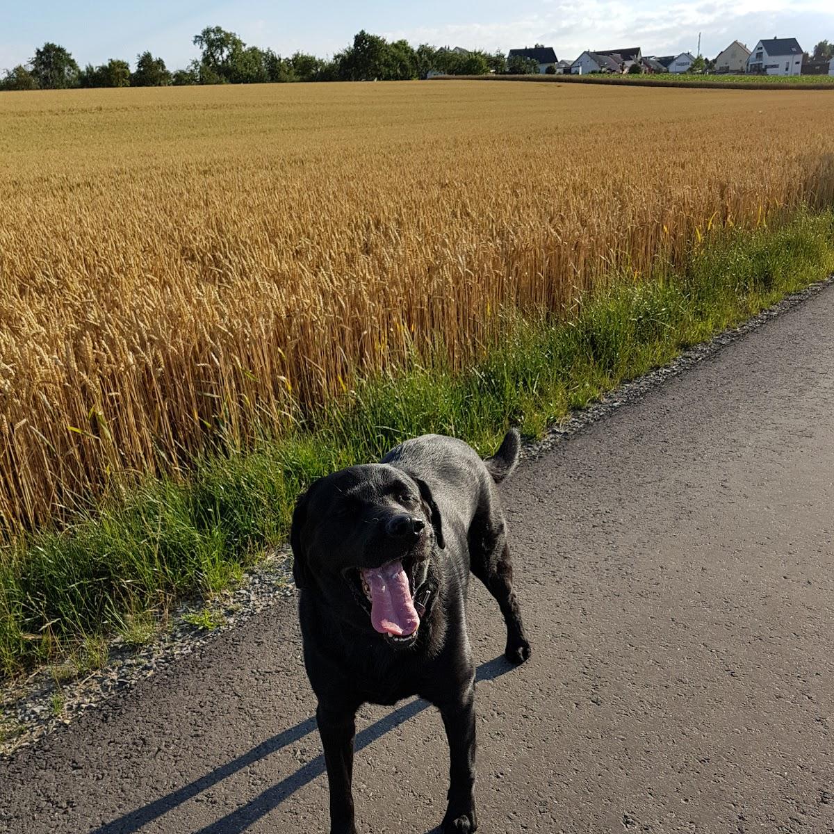Restaurant "Ewald Herz" in Jettingen