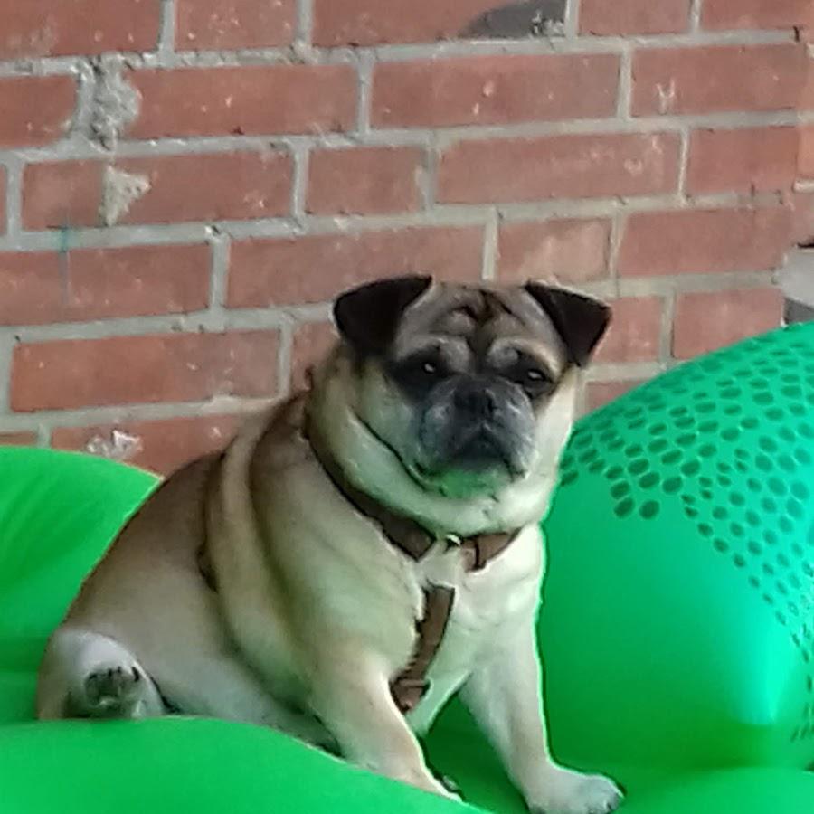 Restaurant "Susanne Hayes" in Prasdorf