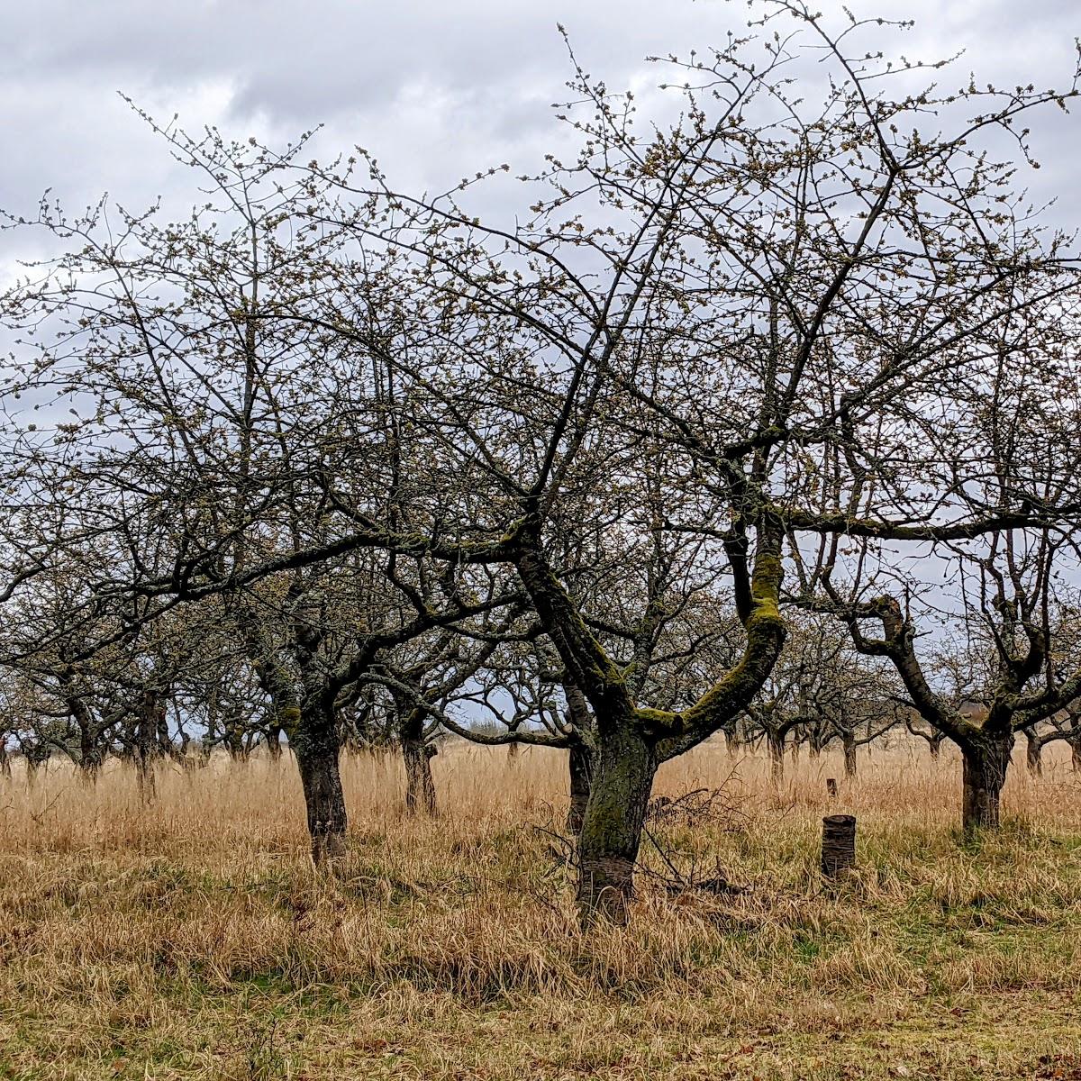 Restaurant "Gästehaus Kastanienhof" in Schwielowsee OT Ferch- Kammerode
