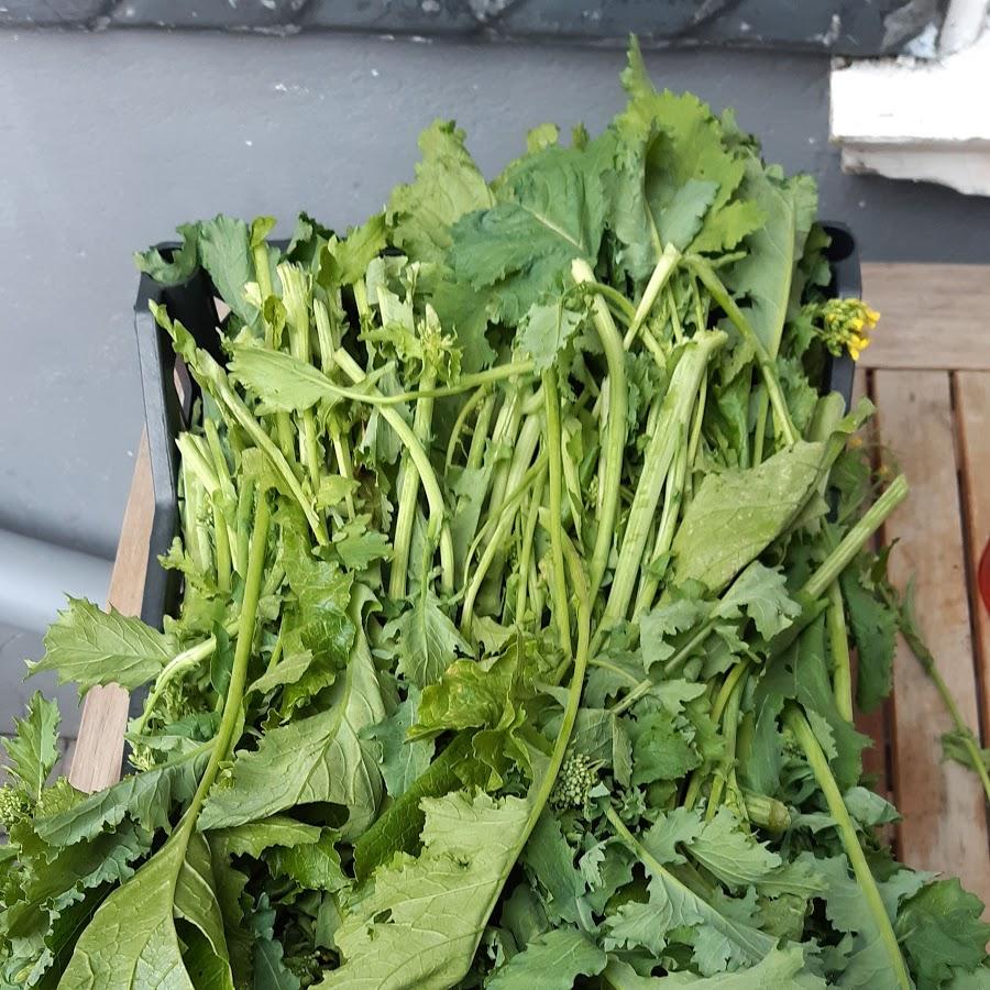 Restaurant "Gaststätte Am Kreuz" in Radevormwald