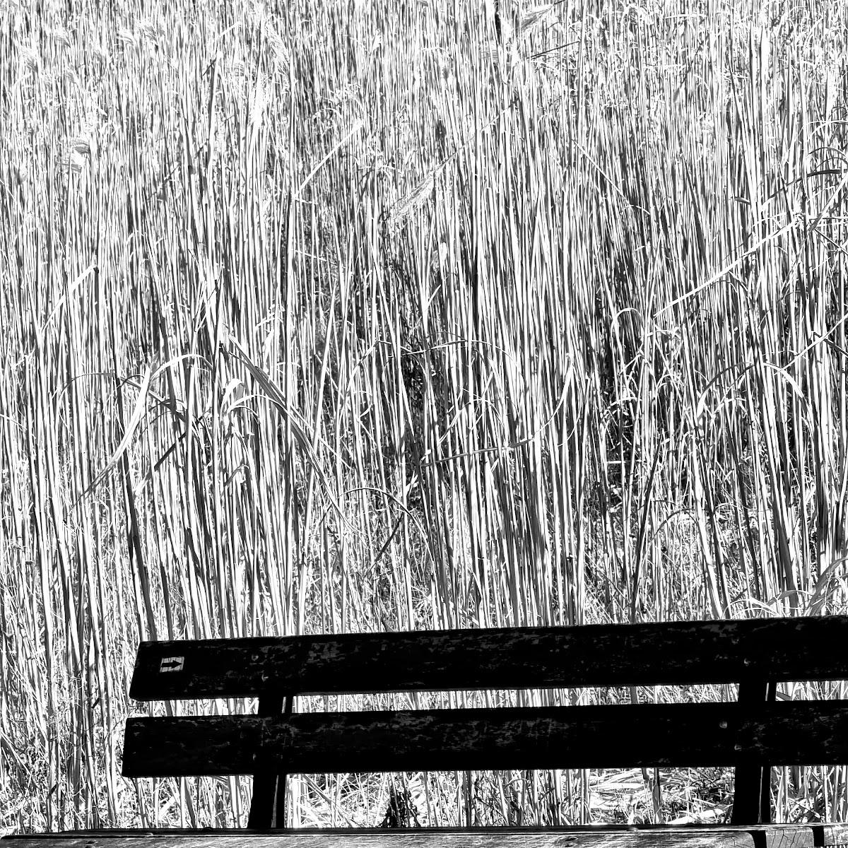 Restaurant "Golden Plate" in Saffig