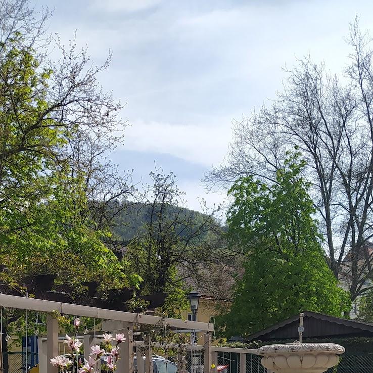 Restaurant "MIKE" in Waidhofen an der Ybbs