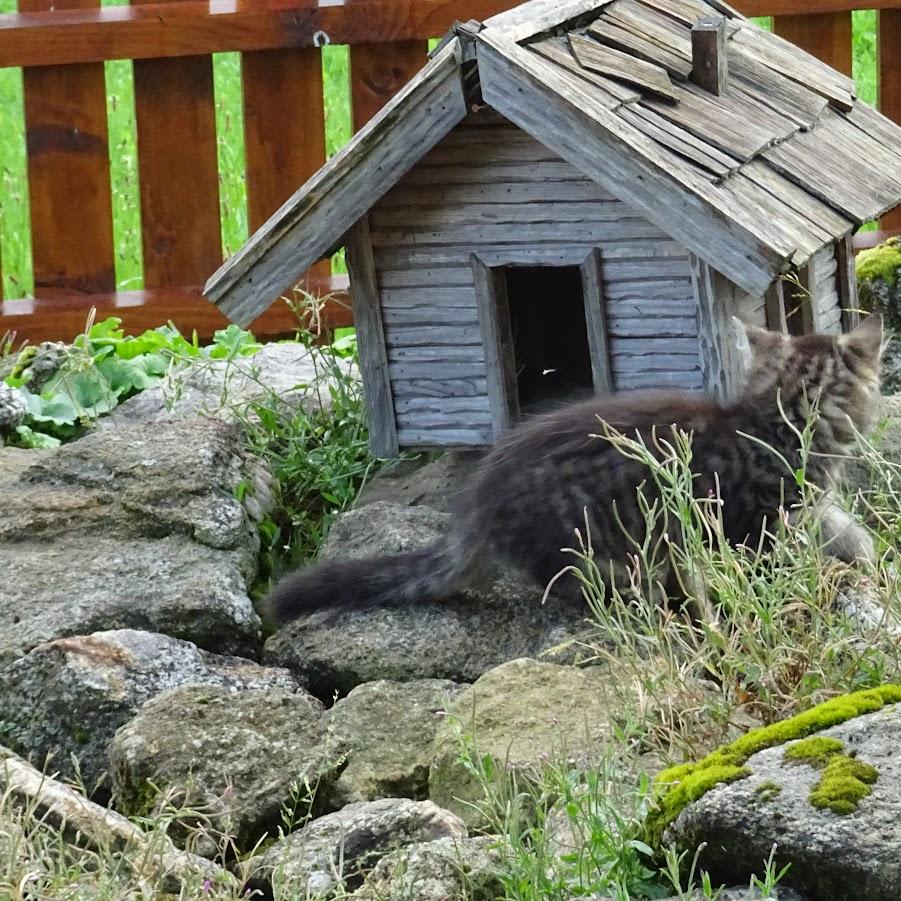 Restaurant "Bergpension Hacker" in Patersdorf