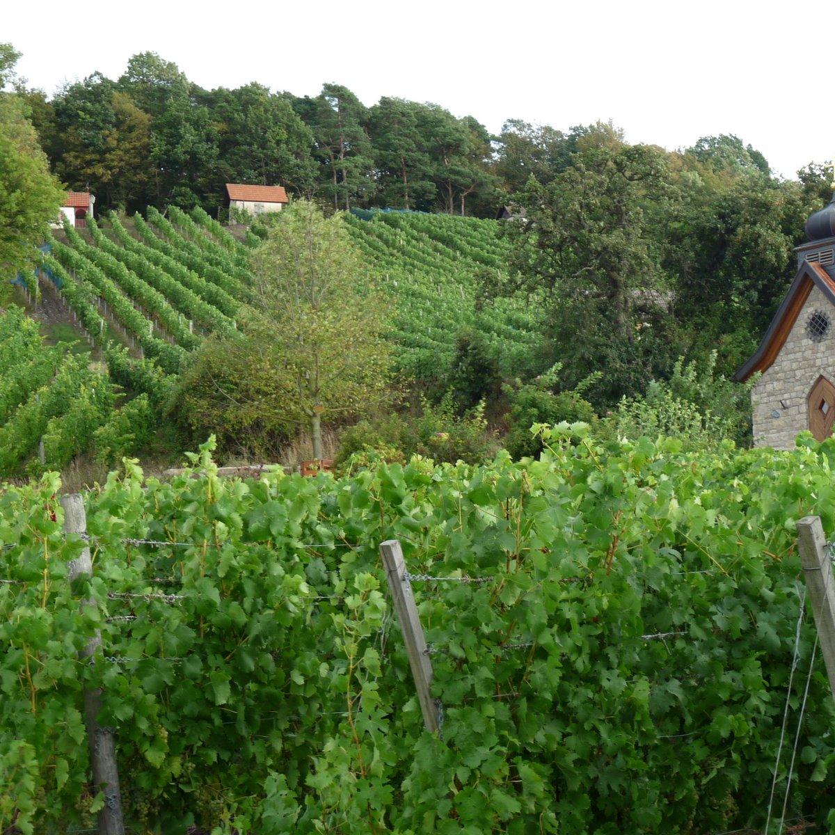Restaurant "Steigerwaldstüble Pension und Ferienwohnungen" in Donnersdorf