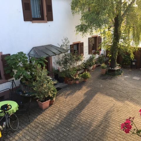 Restaurant "Breth" in Alsheim