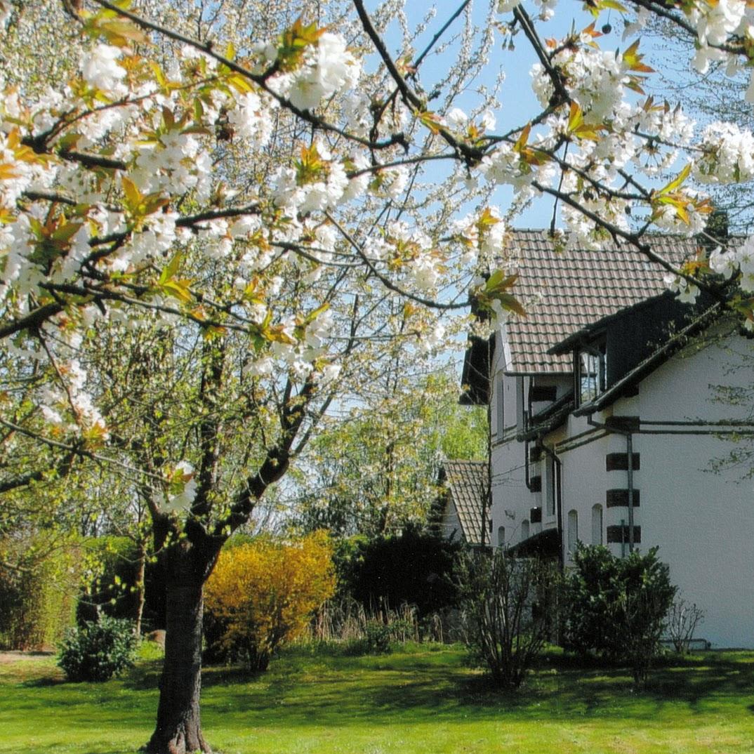 Restaurant "HSV - Hotel-, Service- und Verwaltungsgesellschaft mbH" in Kerpen