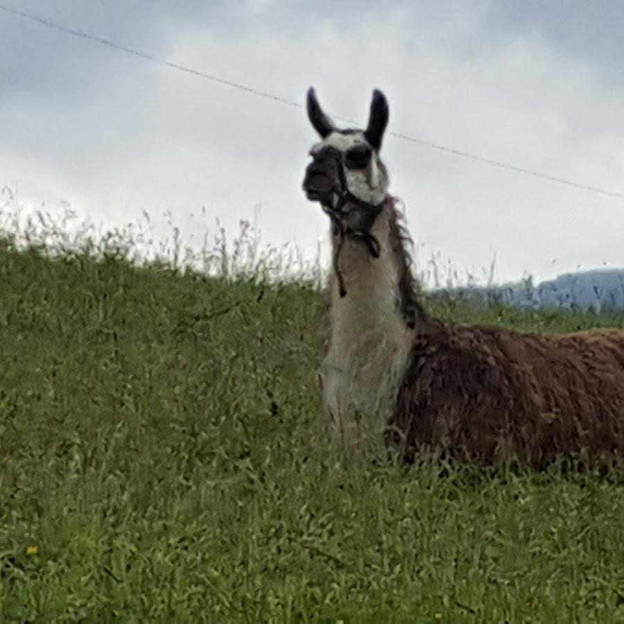 Restaurant "er Hof" in Fell