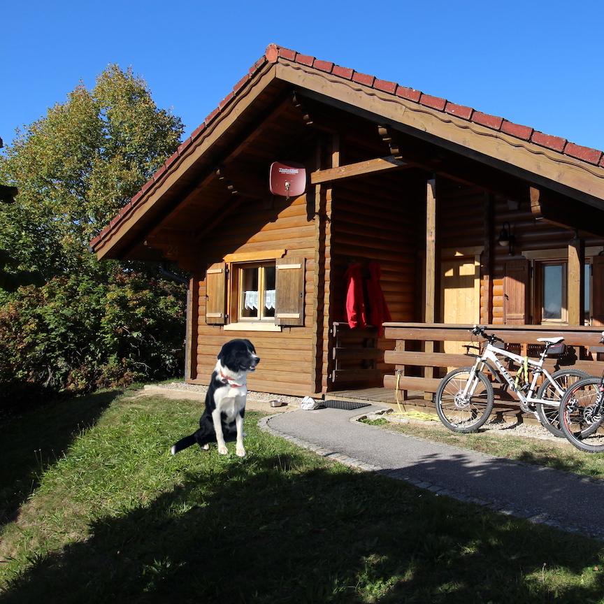 Restaurant "Blockhütte Noffke" in Stamsried