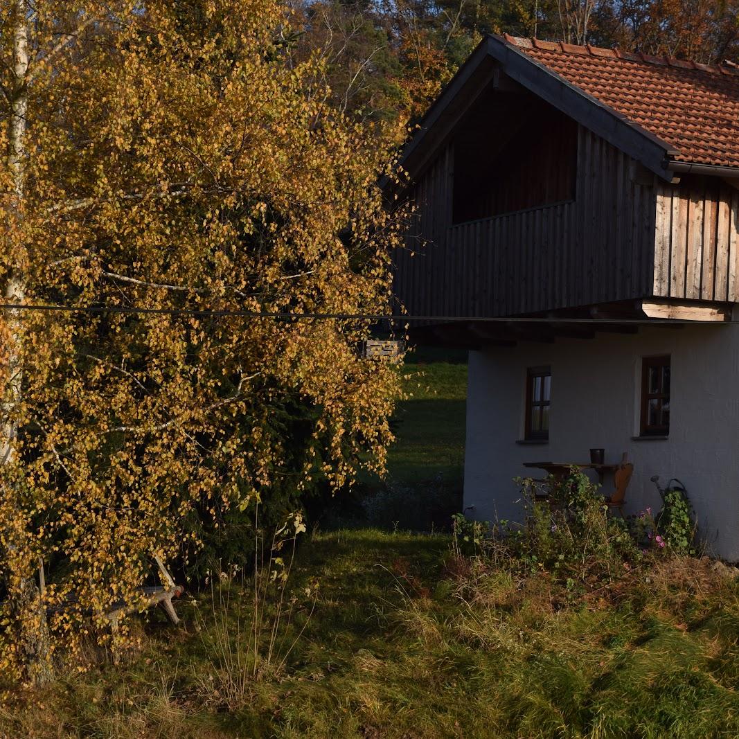 Restaurant "Birken Chalet" in Falkenfels