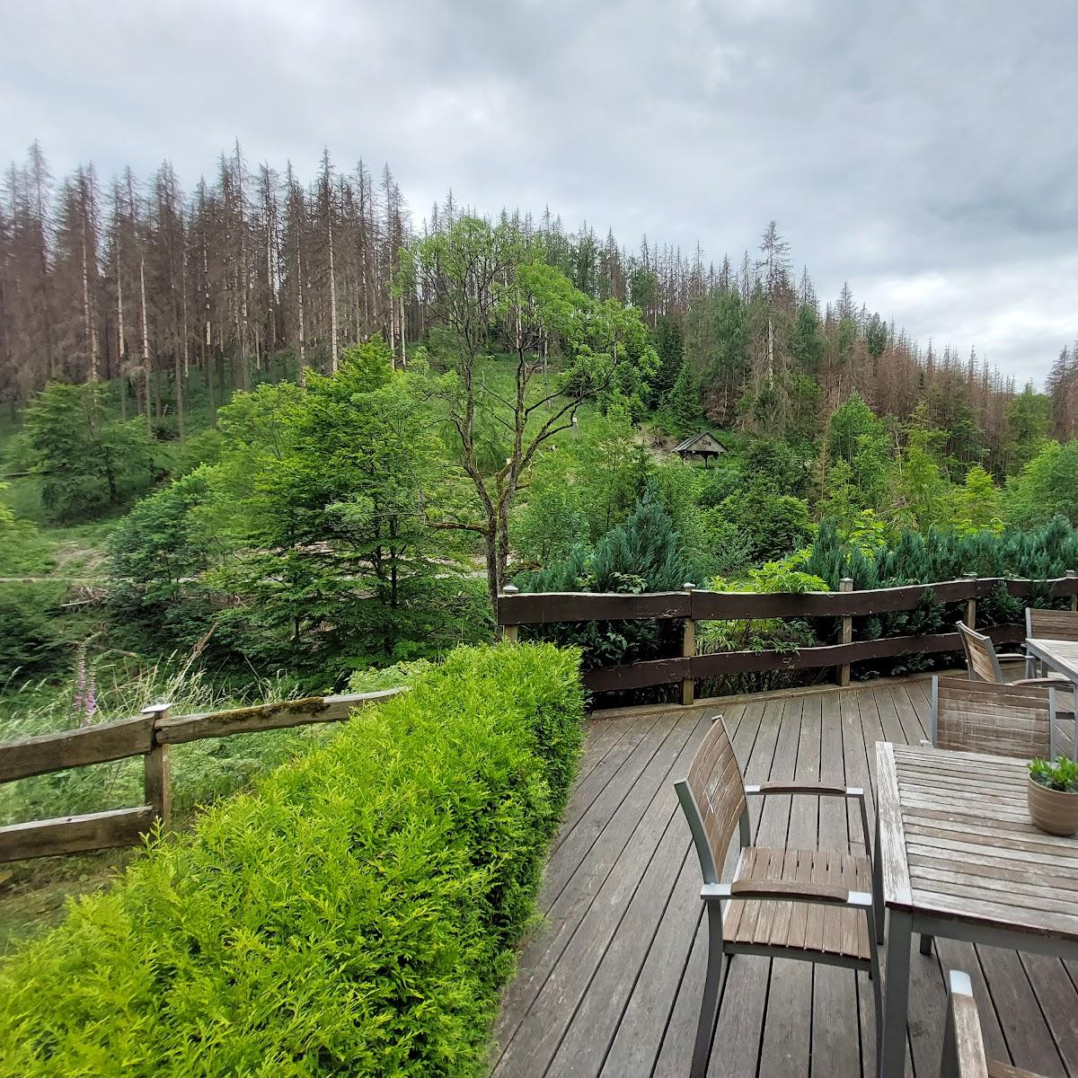 Restaurant "Waldgasthaus  Bahnhof Stöberhai " in Walkenried