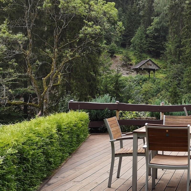 Restaurant "Waldgasthaus  Bahnhof Stöberhai " in Walkenried