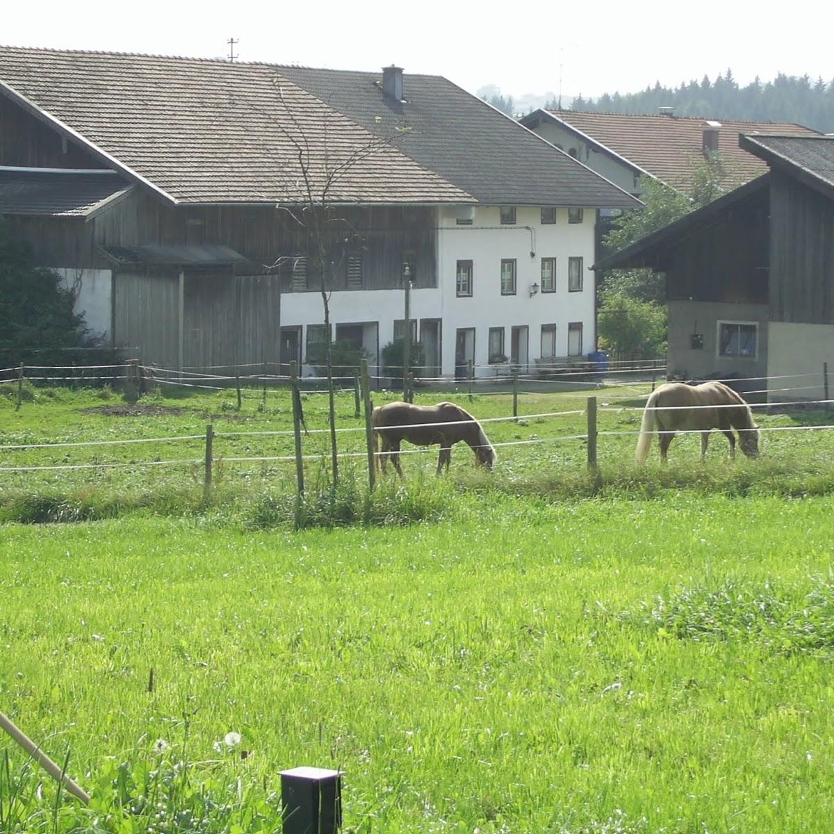 Restaurant "Pelham Hotel Pelhamer See" in Bad Endorf
