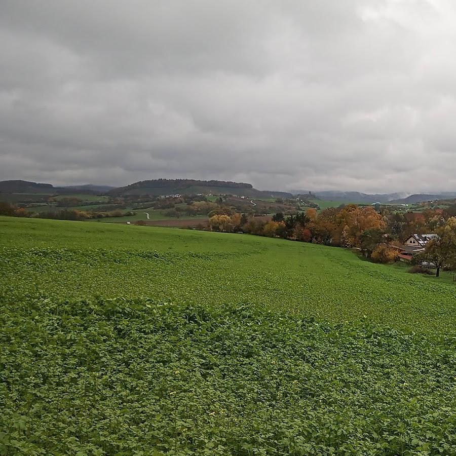 Restaurant "Serways Raststätte Wunnenstein Ost" in Ilsfeld