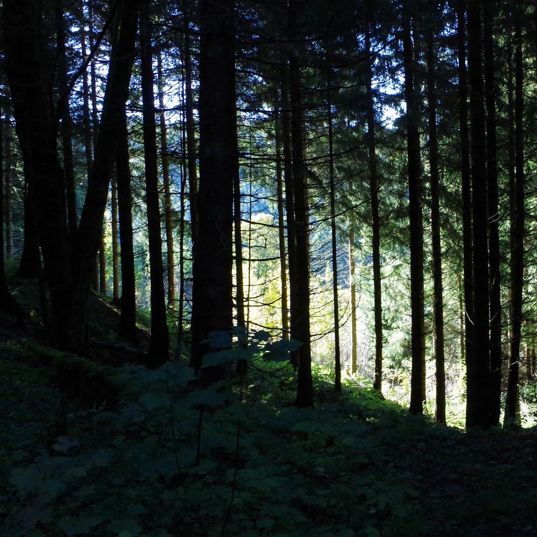 Restaurant "Stiftshütte e.V." in Clausthal-Zellerfeld