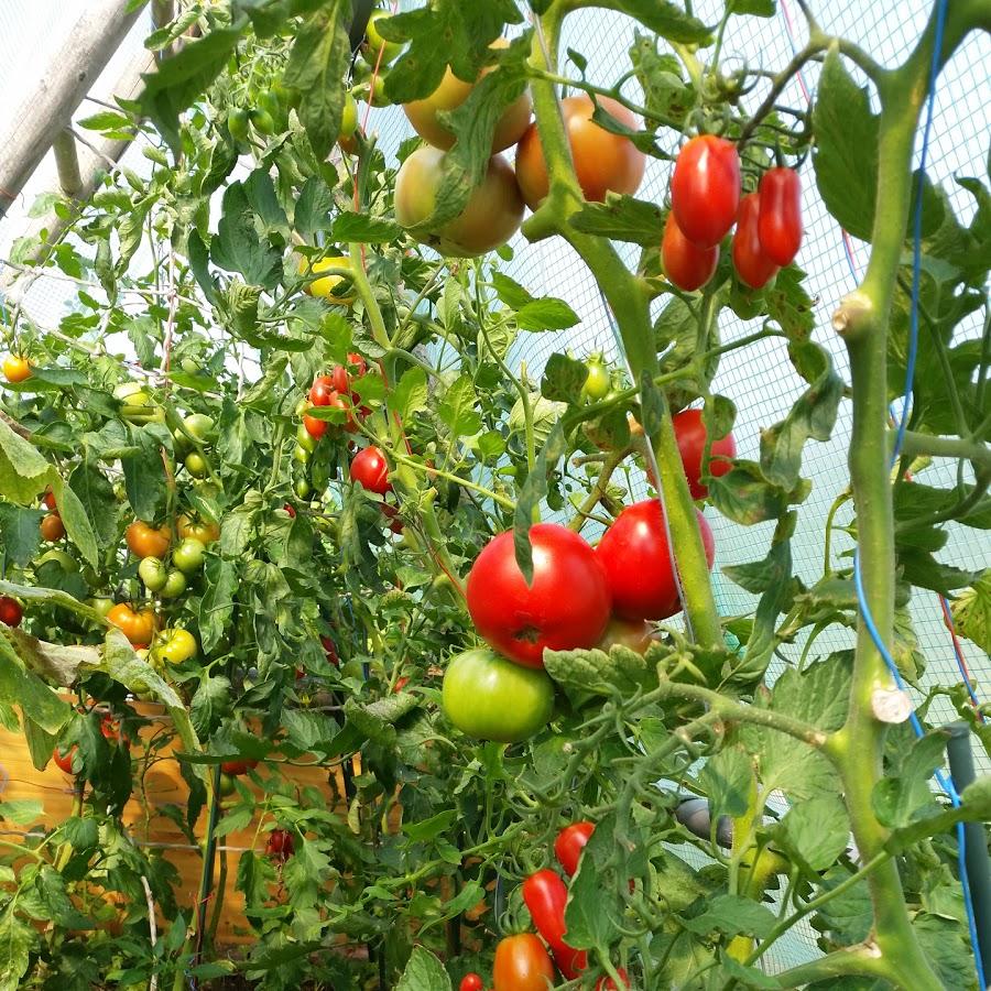 Restaurant "Zarow Idyll" in Ferdinandshof