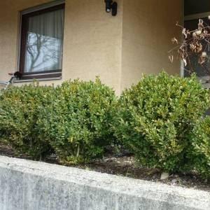 Restaurant "Hotel Garni" in Riederich