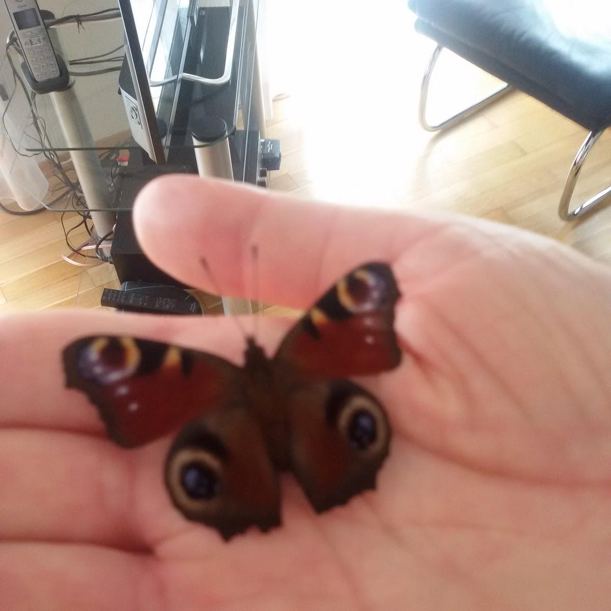 Restaurant "Cafe Deluxe" in Walldorf