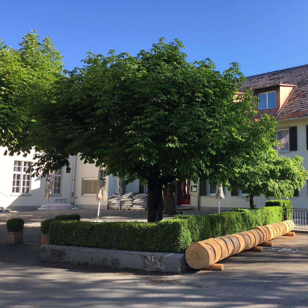 Restaurant "Gasthaus zum Bad Diezlings" in Gemeinde Hörbranz