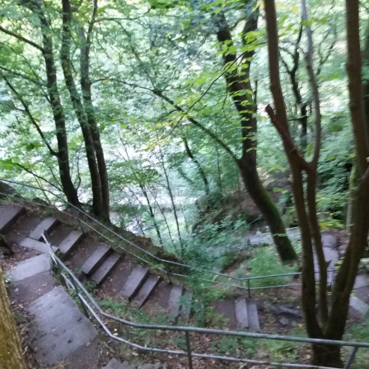 Restaurant "Waldgaststätte Gehege" in Brotterode-Trusetal