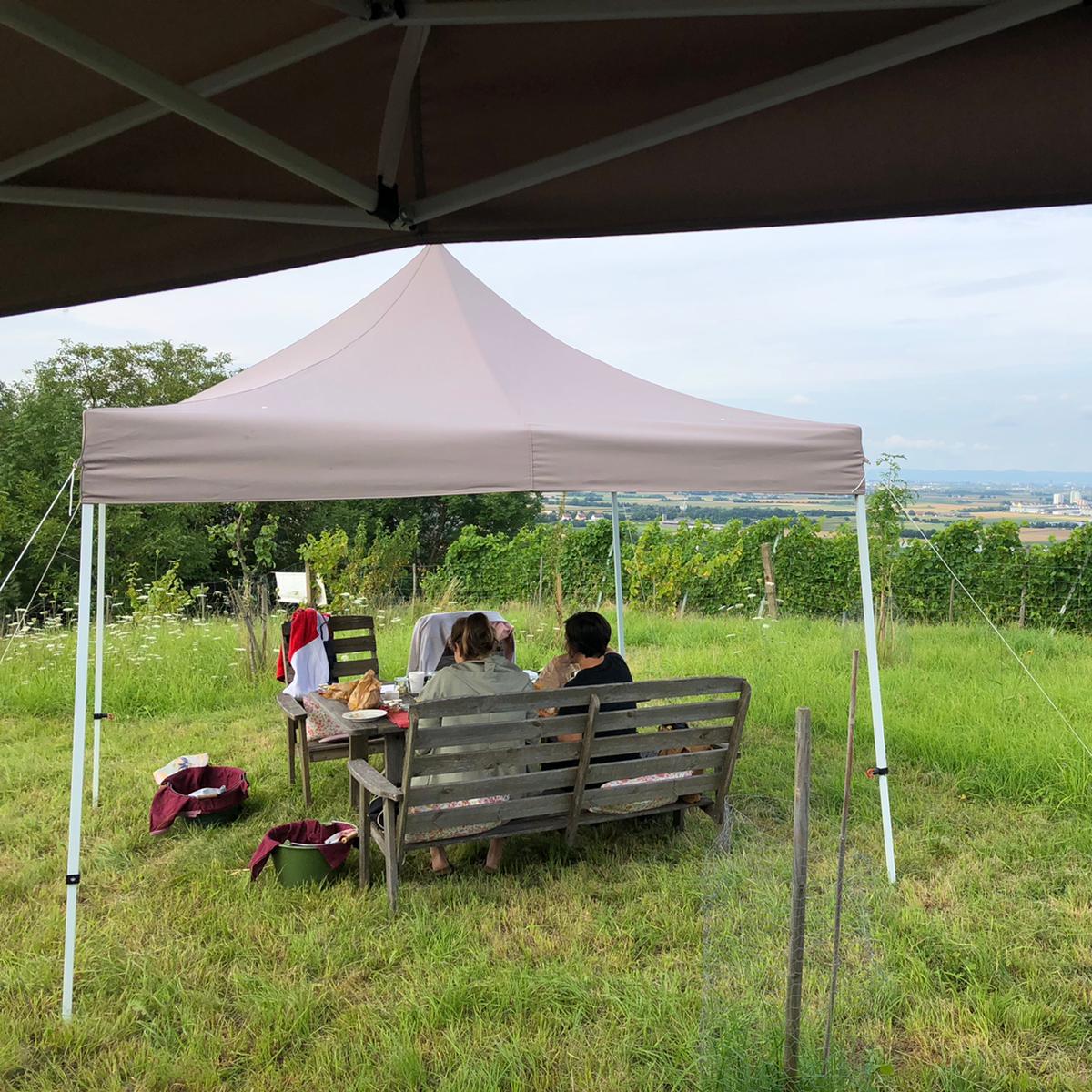 Restaurant "Reginas Gartenvielfalt - Picknick Frühstück auf der Streuobstwiese" in Hirschberg an der Bergstraße