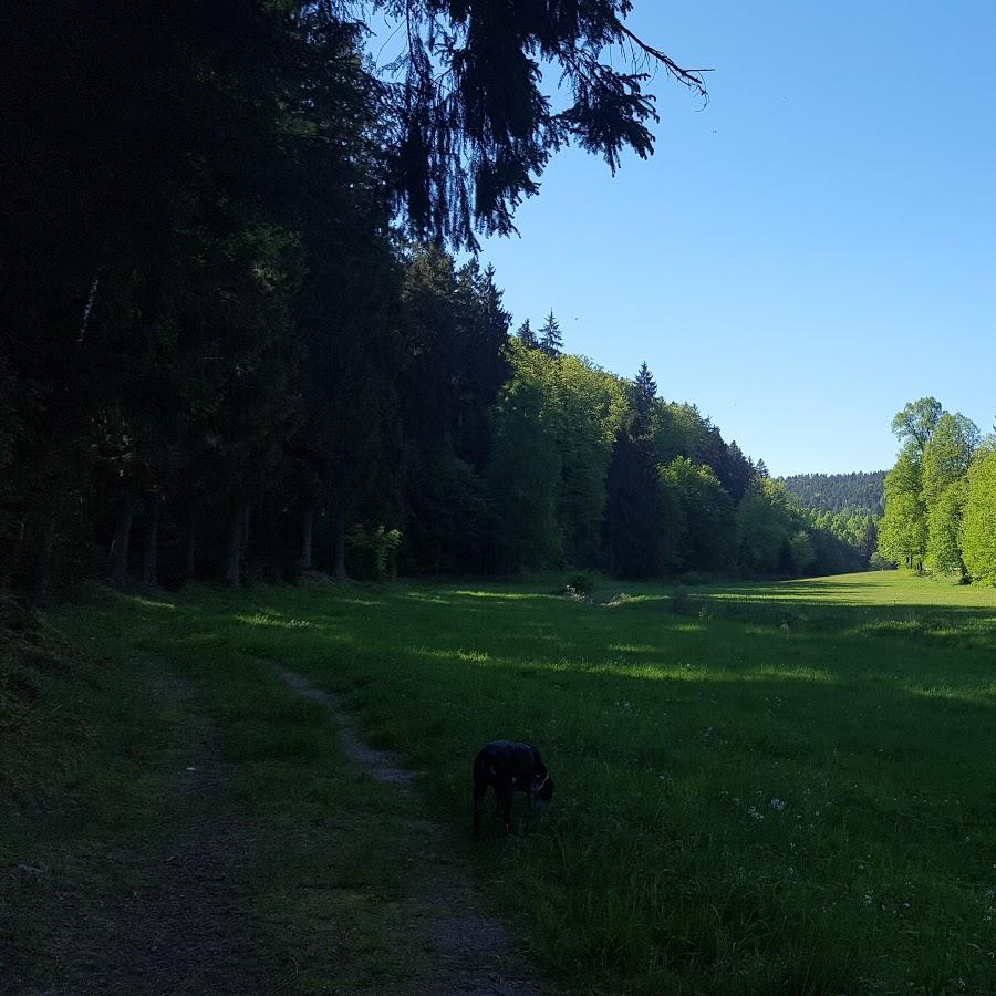 Restaurant "TSG Hütte" in Trippstadt