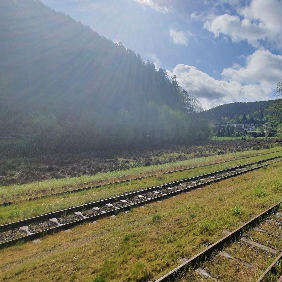 Restaurant "Wohnmobilstellplatz Bahnhofstraße" in Elmstein