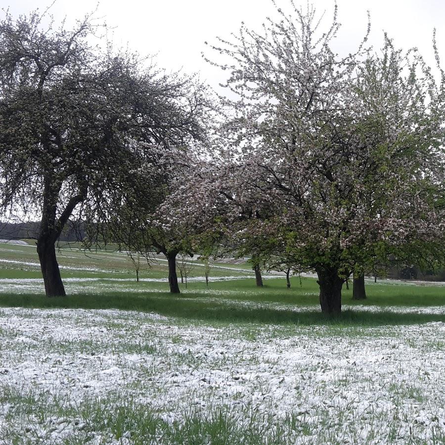 Restaurant "Gerda Ritzel" in Büdingen